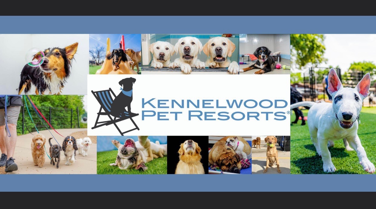 Pet Grooming - Kennelwood Pet Resorts